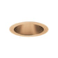 Juno Aculux Recessed Lighting 5007WHZ-SF (4DP WTD SF) 4 inch LED Parabolic Cone Trim, Self Flanged, Wheat Haze Alzak Finish